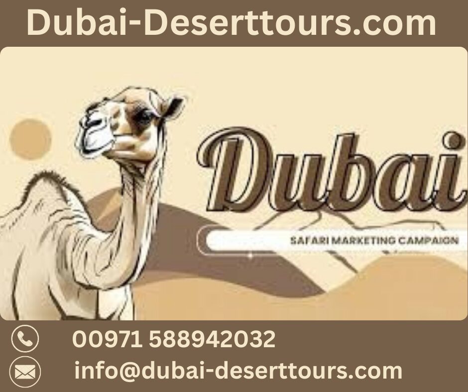 Evening Desert Safari in Dubai