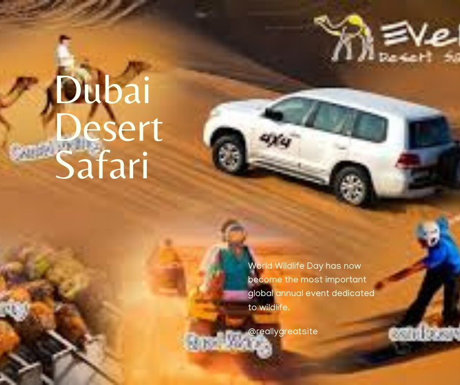 Desert safari Price in Dubai