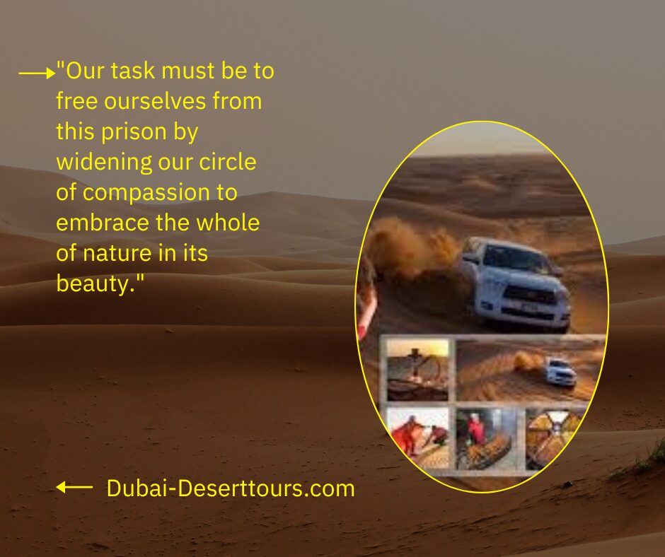 Desert safari Ride Dubai